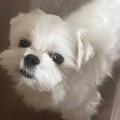 mcz_para0521's profile picture. 北大看護②