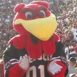 Cocky Country (@cockycountry) 's Twitter Profile Photo