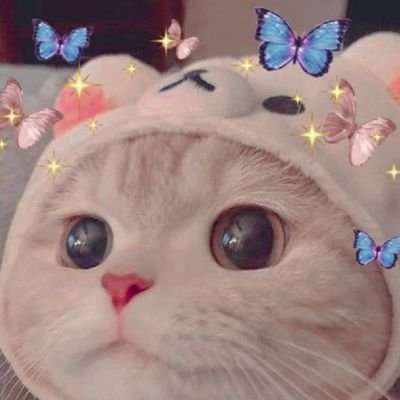 baconbacon55555's profile picture. 