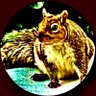 aristotttle's profile picture. ✨🇺🇸Patriot #MAGA #MAHA…🇺🇸✨🌻🤷‍♀️🙏✨📿💫🐿️🌸✨