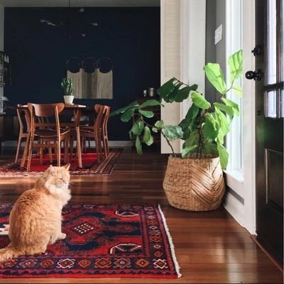 Shhaaaa4's profile picture. ^	_^🌓🌻