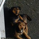 Thomas Dilworth - @tomomoto17370 - Twitter