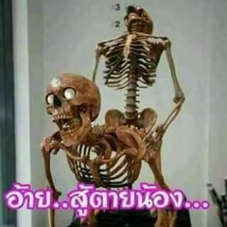 daT9VfZEhyQWJod's profile picture. ไมมีการศึกษา​เลยอ่ะ​