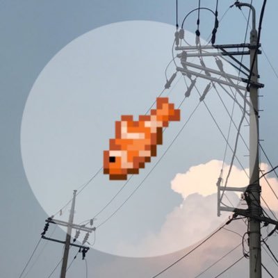 fishさんのプロフィール画像