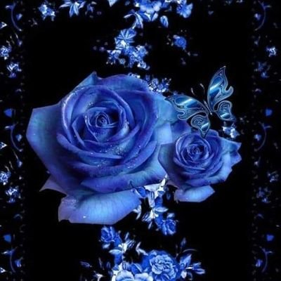 sato🌹🐱🌹さんのプロフィール画像