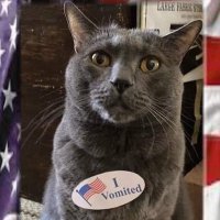 kissmy... (@kissmyorangeas5) 's Twitter Profile