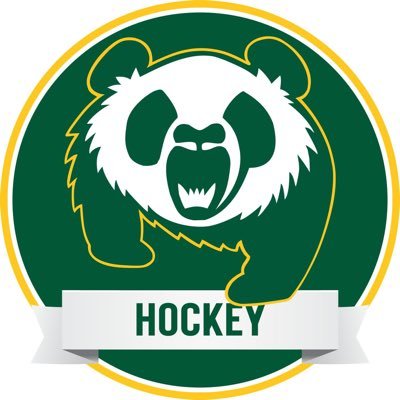 UofA Pandas Hockey