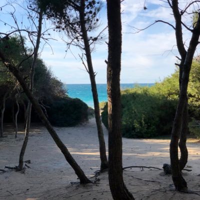 DanilleBorg1's profile picture. 