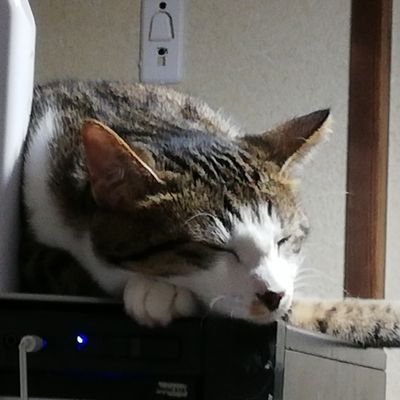 姿月景さんのプロフィール画像