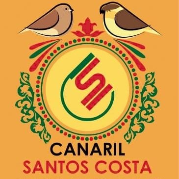 Criador de aves
Me sigam no YouTube no canal Canaril SantosCosta clicando no link abaixo:
https://t.co/9mxdgEhZ2G