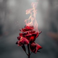 Jason (@jasonunlock) 's Twitter Profile
