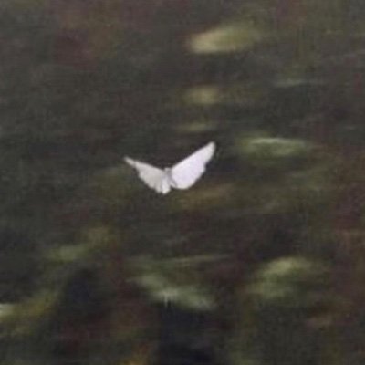 aarrbearr's profile picture. 