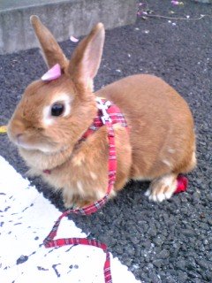 koeri_3's profile picture. 