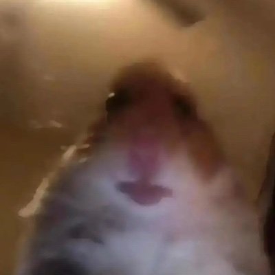 cybervibes1's profile picture. 