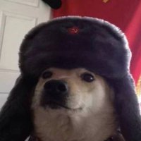 spouly (@spoulyy) 's Twitter Profile