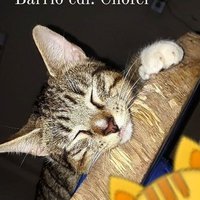 Electric_cripto_Tech (@kennymo48897215) 's Twitter Profile