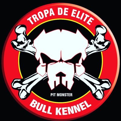 Carlatropaelite's profile picture. Canil Tropa de Elite 😎   Canal YouTube https://t.co/gK3iF2XglU