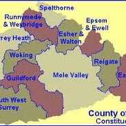 Every single Surrey MP is Tory, Surrey Council is Tory too.  Our votes are taken for granted, our council is run to please the government, not us. Enough.