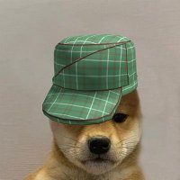 ͏. (@thegreenhatdog) 's Twitter Profile