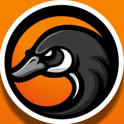 wikkidgoose's profile picture. {He/Him} Twitch Affiliate