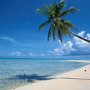 Carol Lane - @Carolannlane - Twitter