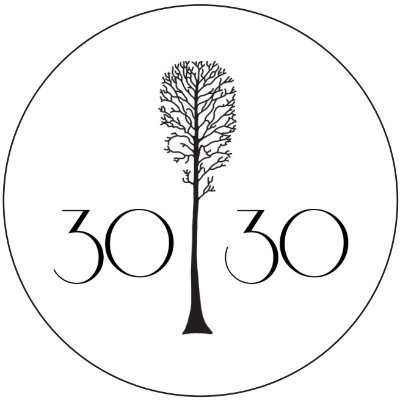 The official cheering section for @TupeloPress 30/30 #poets & alumni! Visit this month's #Tupelo3030 #poems here: https://t.co/HAtg42le1v