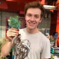 Franklin Alongi (@fcalongi) 's Twitter Profile