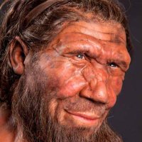 Nervous Neanderthal(@NervousNeander1) 's Twitter Profile Photo