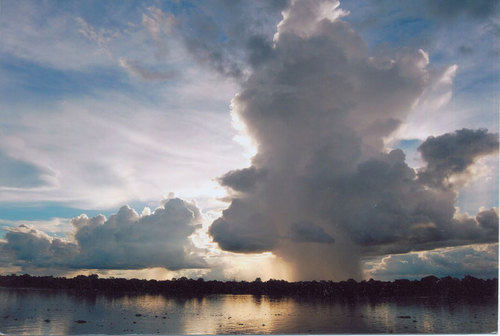 IndignadoOrg's profile picture. http://t.co/3CcEKWEkUN