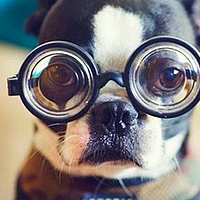 urfuckingname's profile picture. 