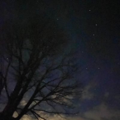 shoya317547's profile picture. サカナクション adieu 羊文学