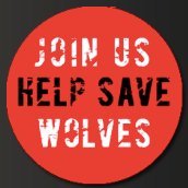 To ignite and empower humankind to take action for wolves. I AM WOLF NATION® is a virtual collective who are willing to lend their voice to wolves and wildlife.