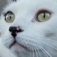 Malice The Editor (@vfxmalice) 's Twitter Profile
