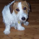 katie kinder - @k4kinder - Twitter