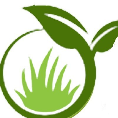 Seeds and Expertise
#GrassSeed #Covercrops #SoilHealth #Wildflowers #Seeds #herbage #Sunergy #Silphiumperfoliatum #yellowflowerofthefuture #regenag