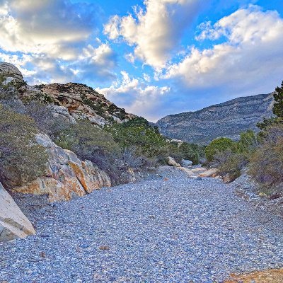 The Nevada Bureau of Mines and Geology (NBMG) is a research and public service unit of the University of Nevada and is the state geological survey.