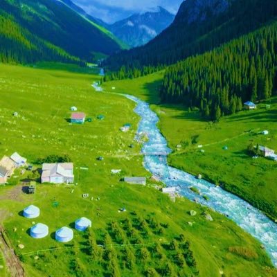 dakik123's profile picture. 🌐Economic📈researcher. Persian,Turkish,Arabic.English🌎 @ticaretedutr (🖊hemrah⚔️)