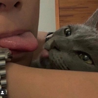 srh__drx's profile picture. princesse