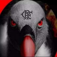 CRF sempre (@jpsandro2) 's Twitter Profile
