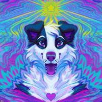 Bsky Migratory Species (@calipercollie) 's Twitter Profile Photo Bsky Migratory Species (@calipercollie) 's Twitter Profile Photo