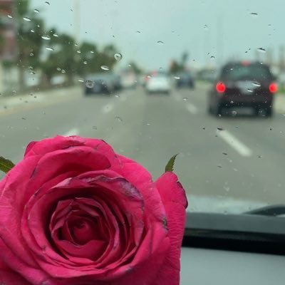 taghreeds90's profile picture. ♩❁...♡ .