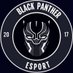Black Panther eSports (@BPantheres) Twitter profile photo