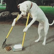 We Are A pet waste disposal company, located i Beautiful Kamloops BC. We offer Clean up of your pet waste, Weekly, bi weekly, or monthly,