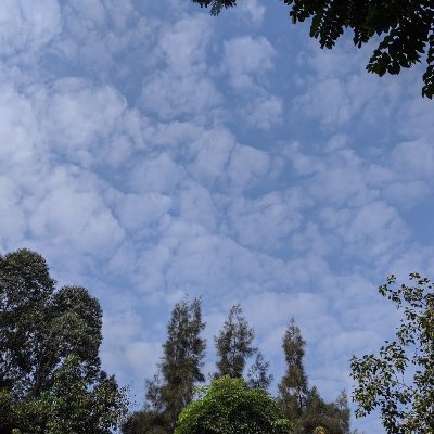larrryqu01's profile picture. Software Developer. 
Golang/Python/Web Crawling