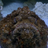 offan56's profile image