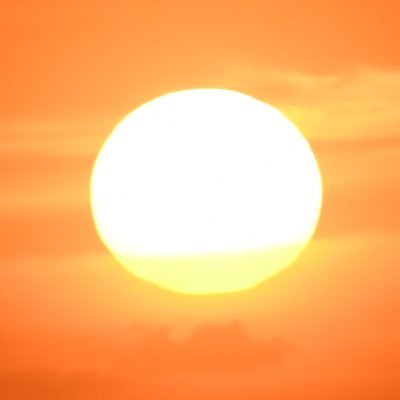codingtest2's profile picture. 