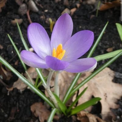 HDandsana's profile picture. Life is beautiful 😊