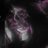 SevHits's profile image