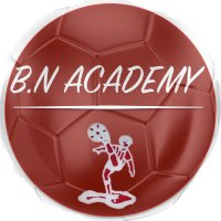 BN Academy(@BNAcademy2) 's Twitter Profile Photo