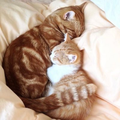 ms9CGzYUyWonMke's profile picture. 